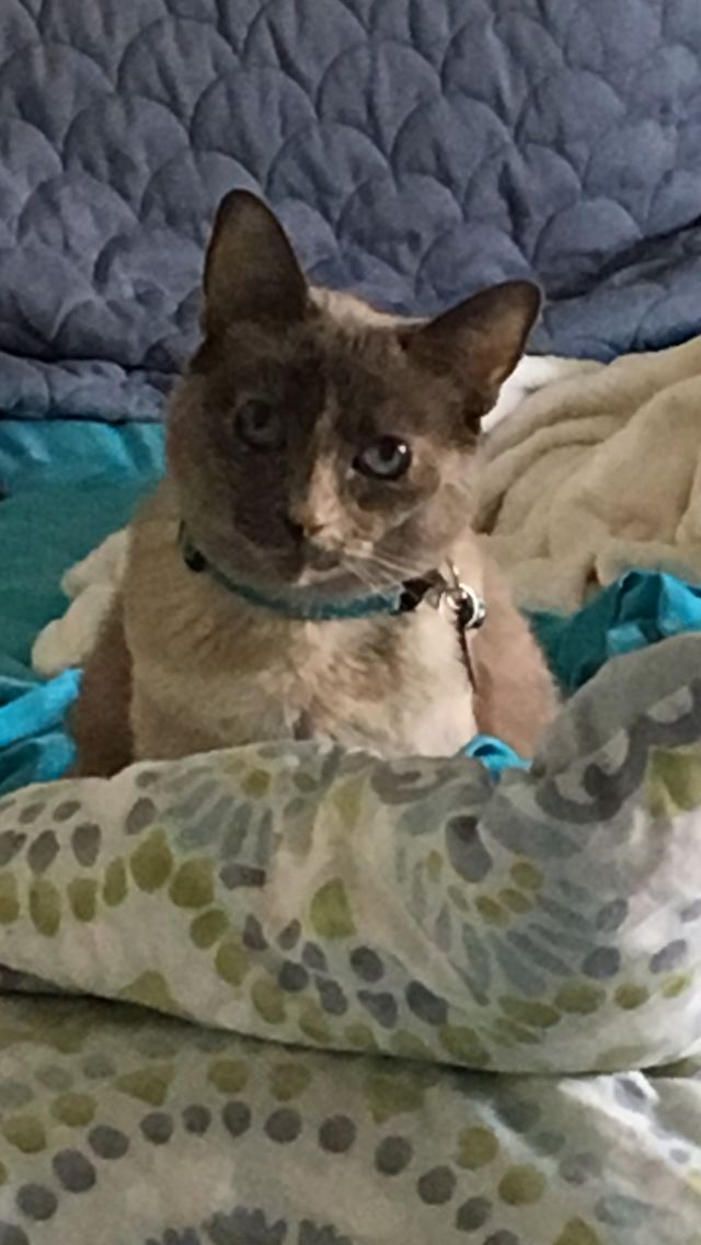 Buster T